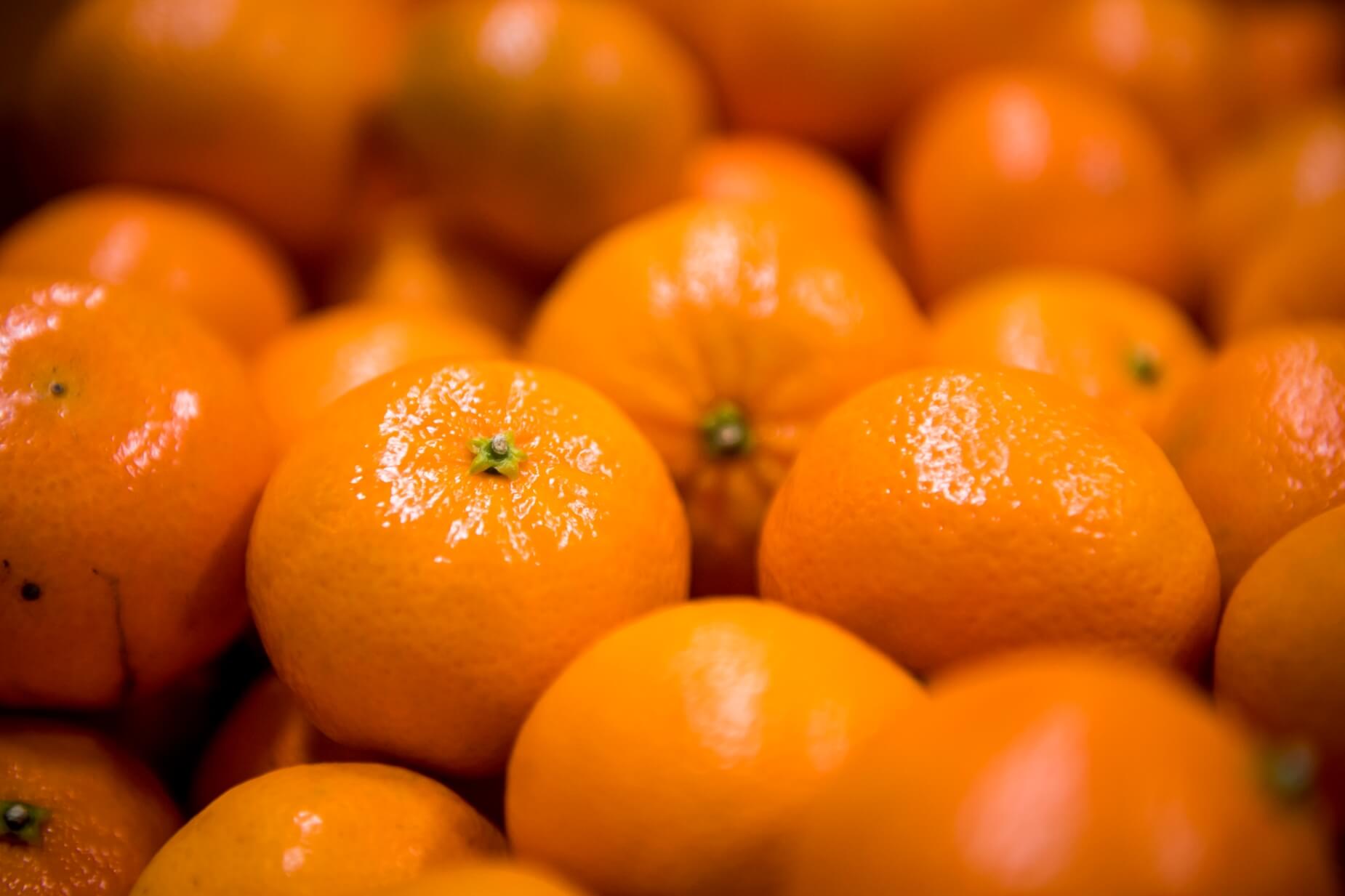 The journey of an orange is made possible by Airsun Express Fresh facilities and cold chain services like drayage, customs brokerage, and temperature controlled transportation.