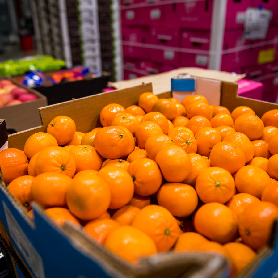 A large amount of oranges in a crate