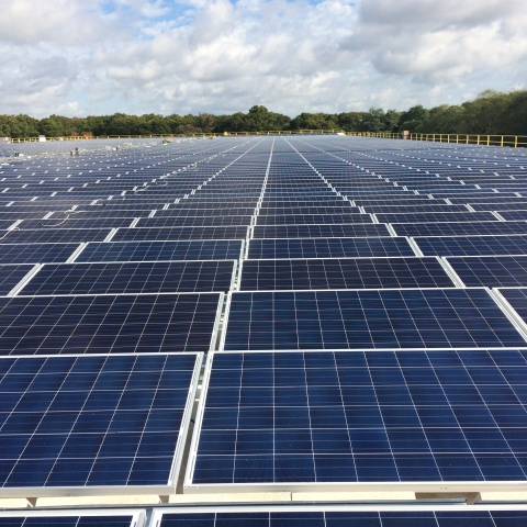 Rows of solar panels