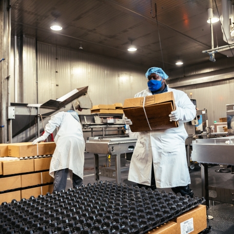 Workers in a food processing facility carrying boxes